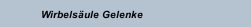 Wirbelsäule Gelenke 